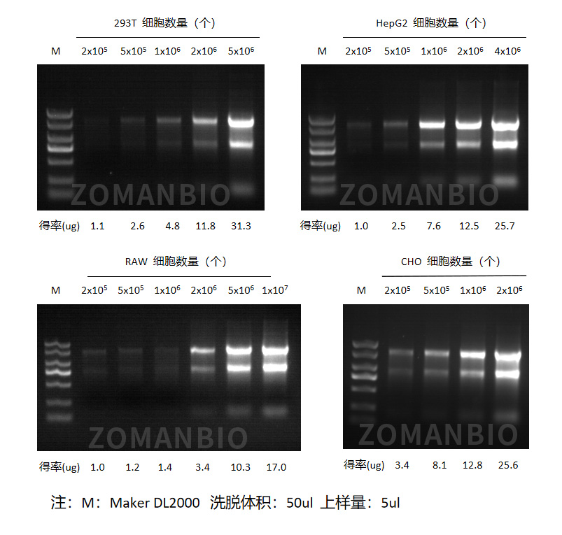 ZP433實(shí)驗數據.jpg